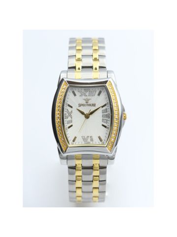 Creative Stainless Steel Women's Two Tone Watch - S12483L-3