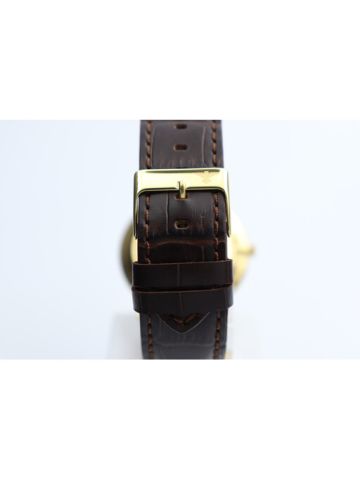 Truth Seeker Men's Dark Brown Watch - 23026M-1