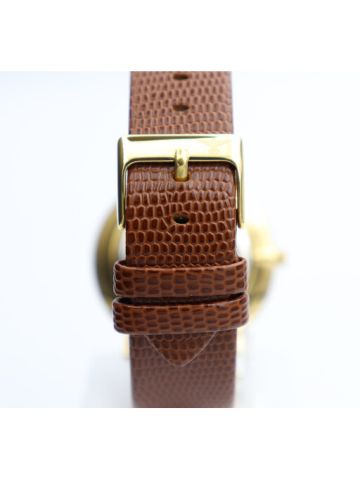 Truth Seeker Stainless Steel Men's Brown Watch - 23071M-1