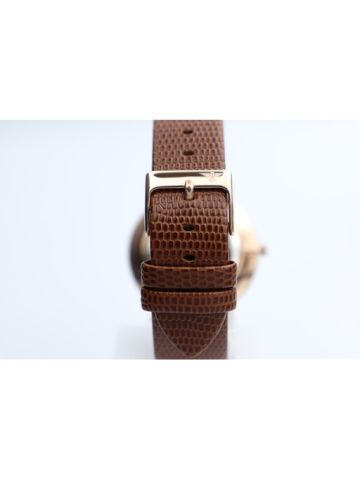 Truth Seeker Stainless Steel Men's Brown Watch - 23071M-2