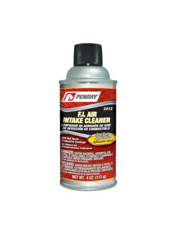 Penray Fuel Injector Air-Intake Cleaner