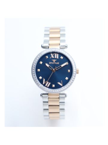 Challenger Stainless Steel WOMEN's Two Tone Rose Watch - S25171L-5