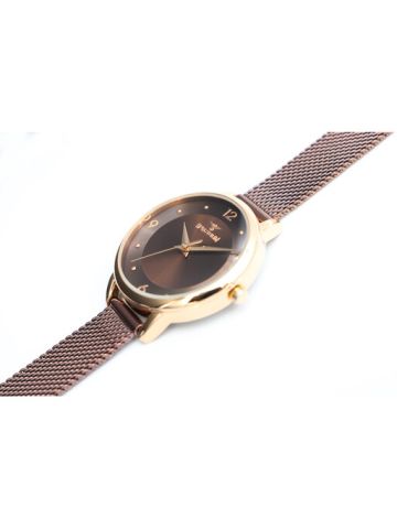 Truth seeker Mesh Band WOMEN's Brown Watch - S25176L-3