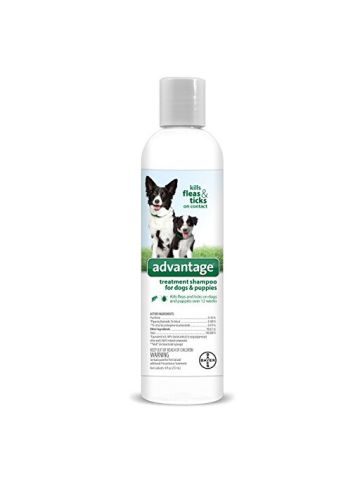 Bayer Animal Health Advantage Shampoo Flea And Tick Treatment