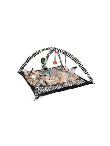Zebra Print Cat Play Tent With Dangle Toys