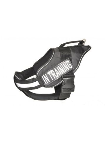 Alpha Multi Purpose Dog Harness L 36-46 Black In Training Patches