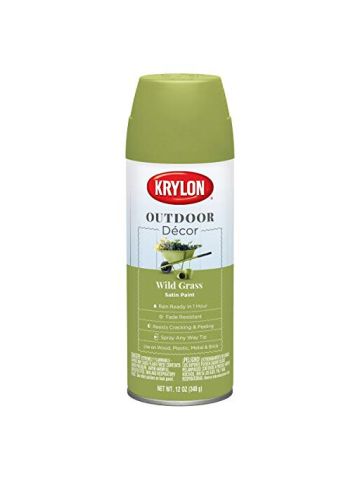 Krylon Outdoor Decor Spray Paint, Wild Grass