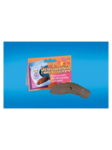 Prank Gag Gift Fake Human Poop Turd Crap Poo Fun Gross Joke Pooper Trick Novelty