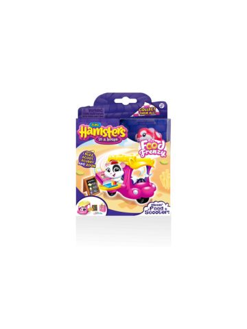 Hamsters In A House-Hamster With Accessories Multi Color