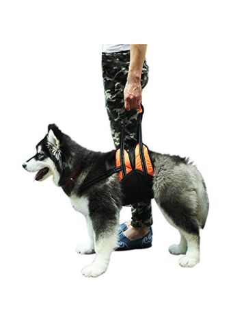 Pupteck Dog Lift Support Harness With Handle  Assist Sling, Mobility & Rehabilitation