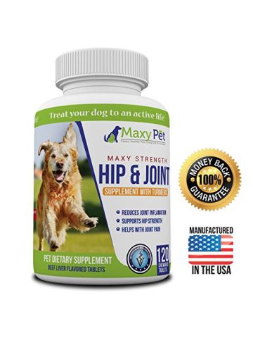 Hip And Joint Supplement For Dogs With Turmeric Pain Relief