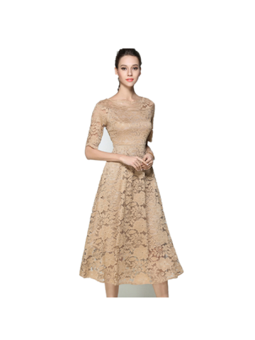 Women's Aline Dress Round Neck Half Sleeve Hollow-Out Decor Floral Pattern Lace Mid Calf Dress