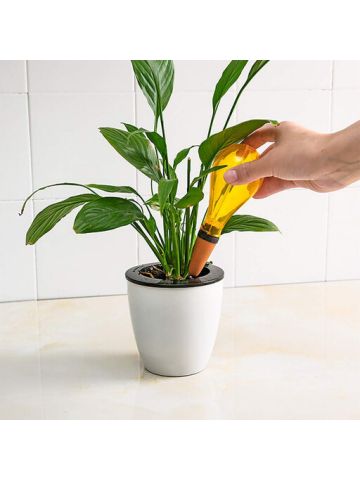 Automatic Watering Device Houseplant Plant Pot Bulb Globe Garden House Waterer