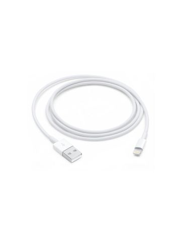 Apple Lightning To USB Cable White 1 Meter