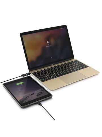 Incipio Charge Sync USB C to USB A Adapter Black