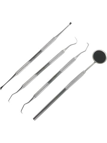4-Pcs Oral Care Set, Stainless Steel Teeth Scraper Toothpick For Mouth